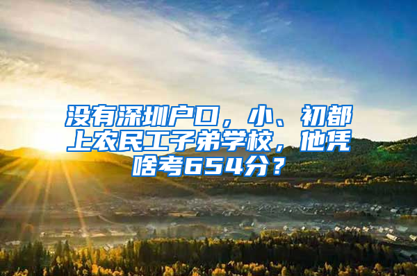 没有深圳户口，小、初都上农民工子弟学校，他凭啥考654分？