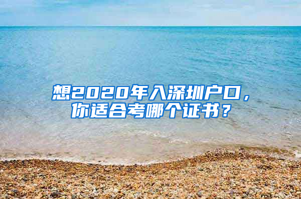 想2020年入深圳户口，你适合考哪个证书？