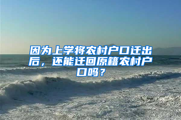 因为上学将农村户口迁出后，还能迁回原籍农村户口吗？