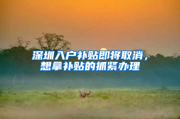 深圳入户补贴即将取消，想拿补贴的抓紧办理