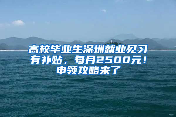 高校毕业生深圳就业见习有补贴，每月2500元！申领攻略来了