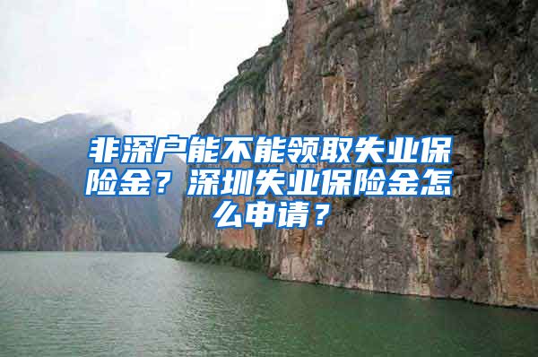 非深户能不能领取失业保险金？深圳失业保险金怎么申请？