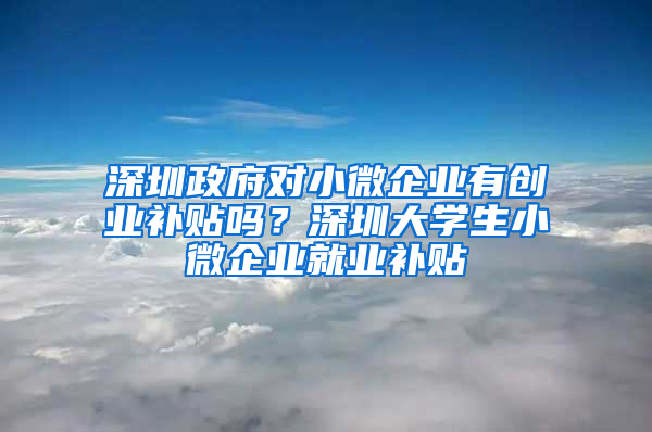 深圳政府对小微企业有创业补贴吗？深圳大学生小微企业就业补贴