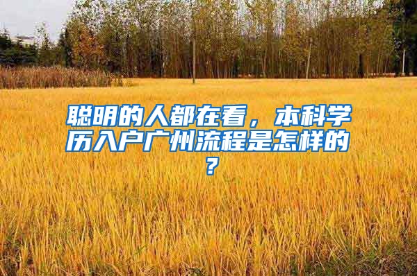 聪明的人都在看，本科学历入户广州流程是怎样的？