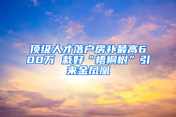 顶级人才落户房补最高600万 栽好“梧桐树”引来金凤凰