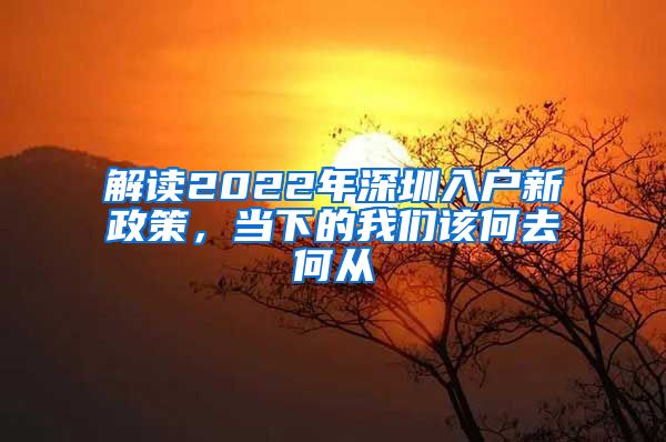 解读2022年深圳入户新政策，当下的我们该何去何从