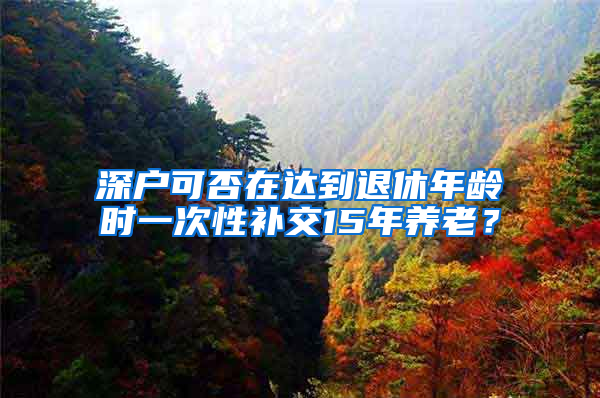 深户可否在达到退休年龄时一次性补交15年养老？