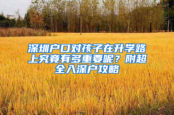 深圳户口对孩子在升学路上究竟有多重要呢？附超全入深户攻略