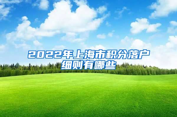 2022年上海市积分落户细则有哪些