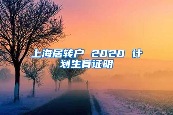 上海居转户 2020 计划生育证明