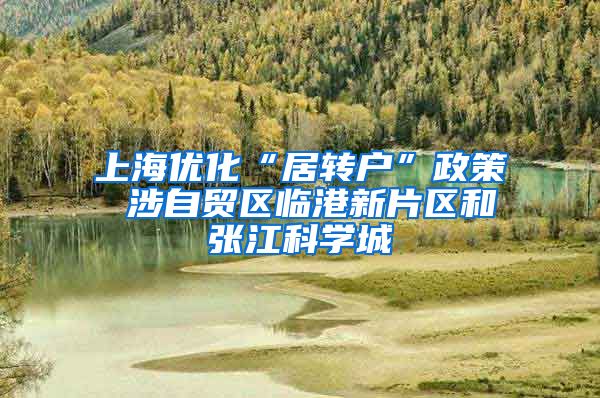 上海优化“居转户”政策 涉自贸区临港新片区和张江科学城