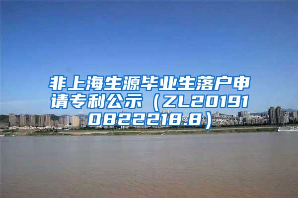 非上海生源毕业生落户申请专利公示（ZL201910822218.8）