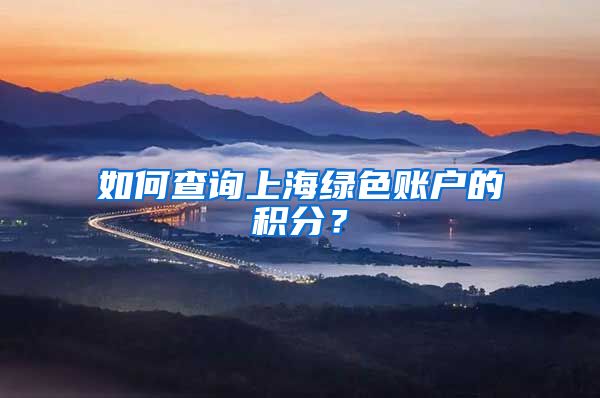 如何查询上海绿色账户的积分？