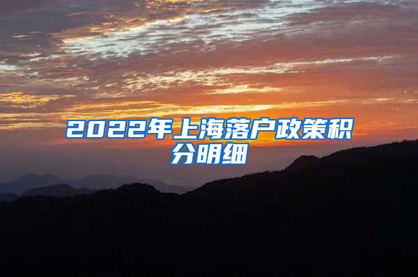 2022年上海落户政策积分明细