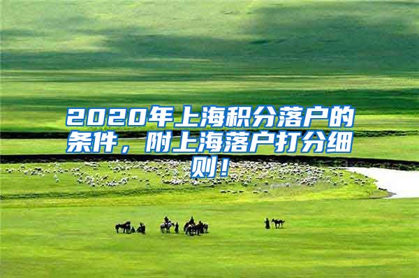 2020年上海积分落户的条件，附上海落户打分细则！