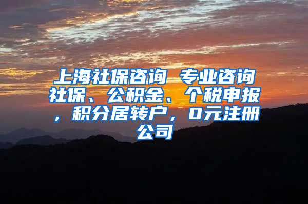 上海社保咨询 专业咨询社保、公积金、个税申报，积分居转户，0元注册公司