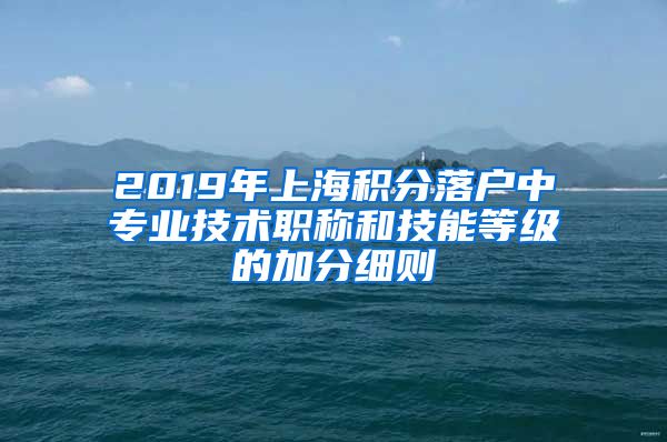 2019年上海积分落户中专业技术职称和技能等级的加分细则