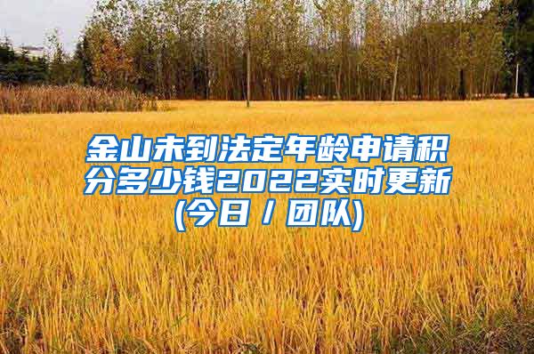 金山未到法定年龄申请积分多少钱2022实时更新(今日／团队)