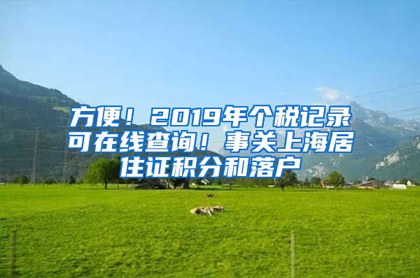 方便！2019年个税记录可在线查询！事关上海居住证积分和落户