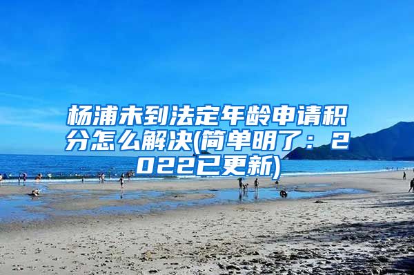 杨浦未到法定年龄申请积分怎么解决(简单明了：2022已更新)