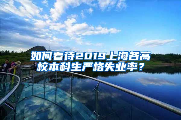 如何看待2019上海各高校本科生严格失业率？