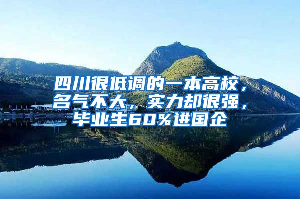 四川很低调的一本高校，名气不大，实力却很强，毕业生60%进国企