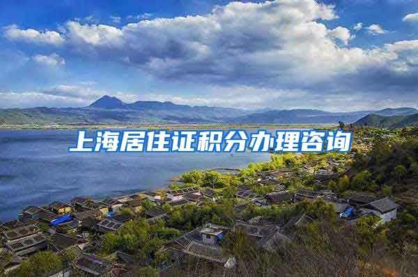 上海居住证积分办理咨询