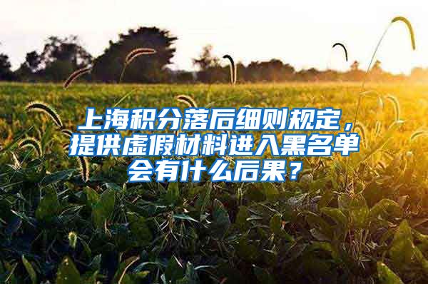 上海积分落后细则规定，提供虚假材料进入黑名单会有什么后果？