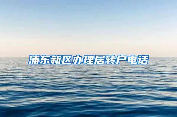 浦东新区办理居转户电话