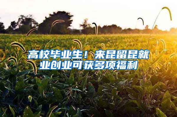 高校毕业生！来昆留昆就业创业可获多项福利→