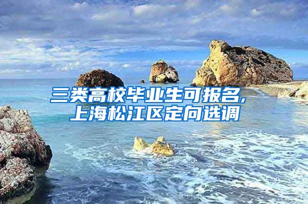 三类高校毕业生可报名, 上海松江区定向选调