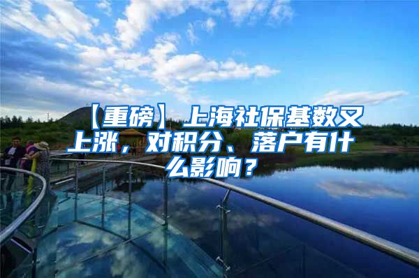 【重磅】上海社保基数又上涨，对积分、落户有什么影响？