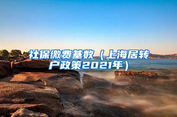 社保缴费基数（上海居转户政策2021年）