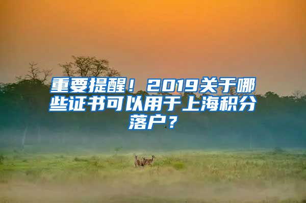 重要提醒！2019关于哪些证书可以用于上海积分落户？