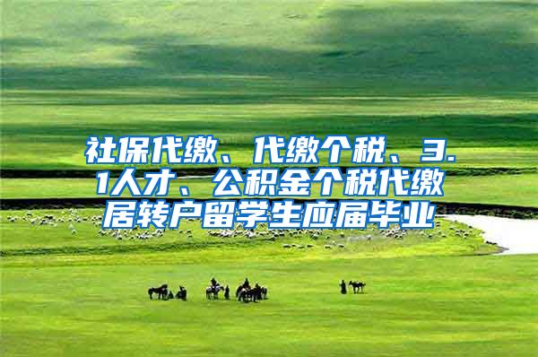 社保代缴、代缴个税、3.1人才、公积金个税代缴居转户留学生应届毕业