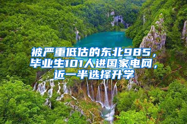 被严重低估的东北985，毕业生101人进国家电网，近一半选择升学