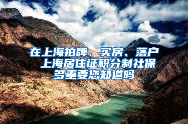 在上海拍牌、买房、落户 上海居住证积分制社保多重要您知道吗