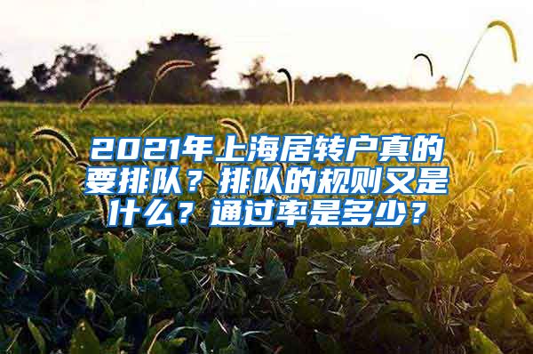 2021年上海居转户真的要排队？排队的规则又是什么？通过率是多少？