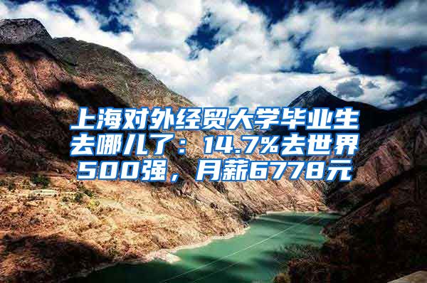 上海对外经贸大学毕业生去哪儿了：14.7%去世界500强，月薪6778元