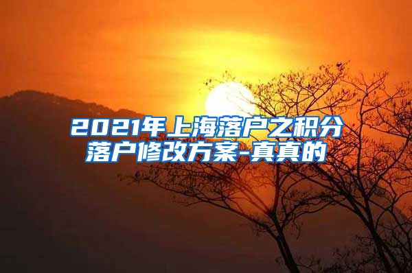 2021年上海落户之积分落户修改方案-真真的