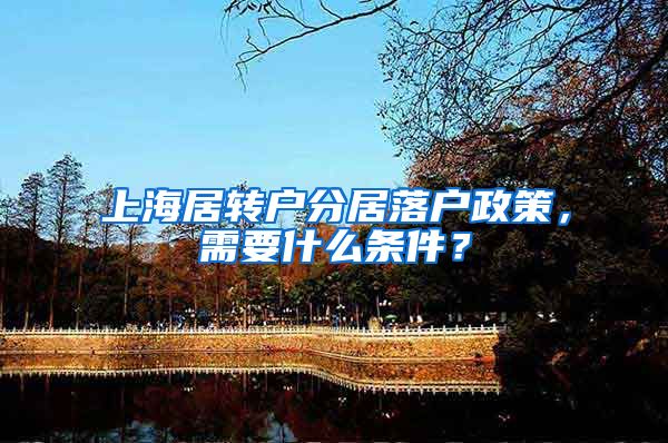 上海居转户分居落户政策，需要什么条件？