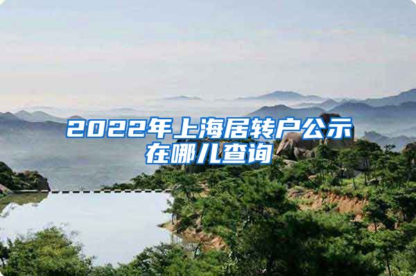 2022年上海居转户公示在哪儿查询