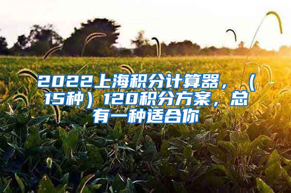 2022上海积分计算器，（15种）120积分方案，总有一种适合你