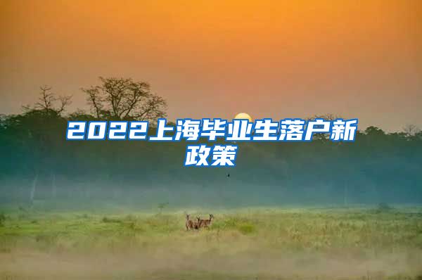 2022上海毕业生落户新政策