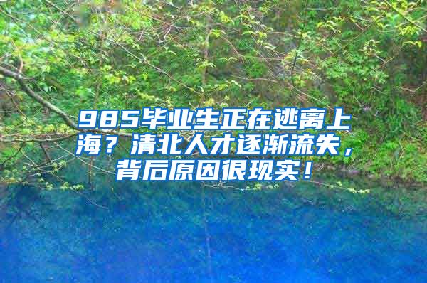 985毕业生正在逃离上海？清北人才逐渐流失，背后原因很现实！