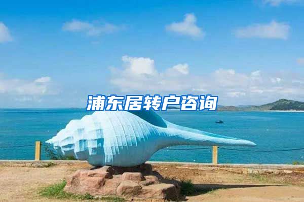 浦东居转户咨询