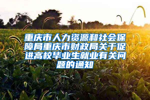 重庆市人力资源和社会保障局重庆市财政局关于促进高校毕业生就业有关问题的通知