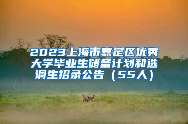 2023上海市嘉定区优秀大学毕业生储备计划和选调生招录公告（55人）