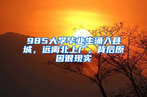 985大学毕业生涌入县城，远离北上广，背后原因很现实