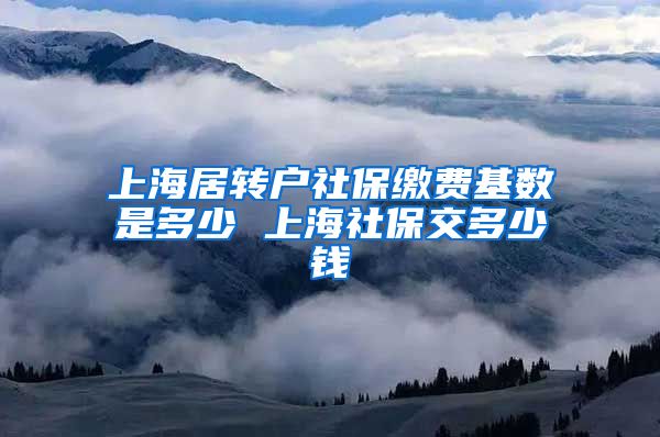 上海居转户社保缴费基数是多少 上海社保交多少钱